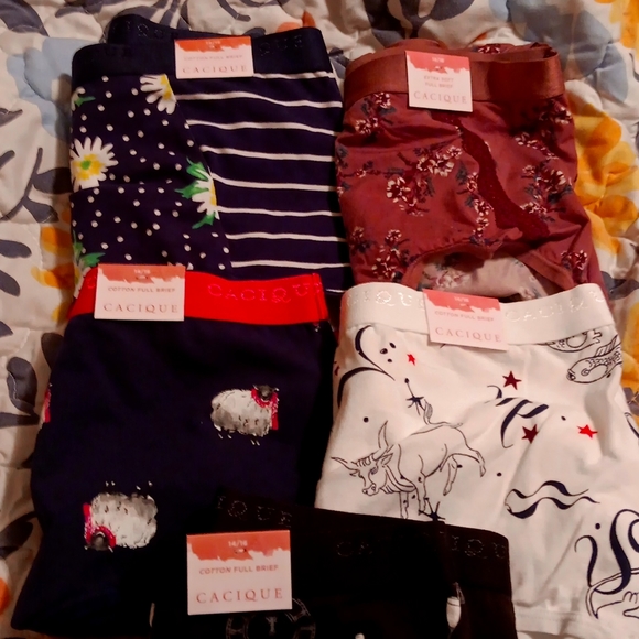 Lane Bryant Intimates & Sleepwear Panties Poshmark